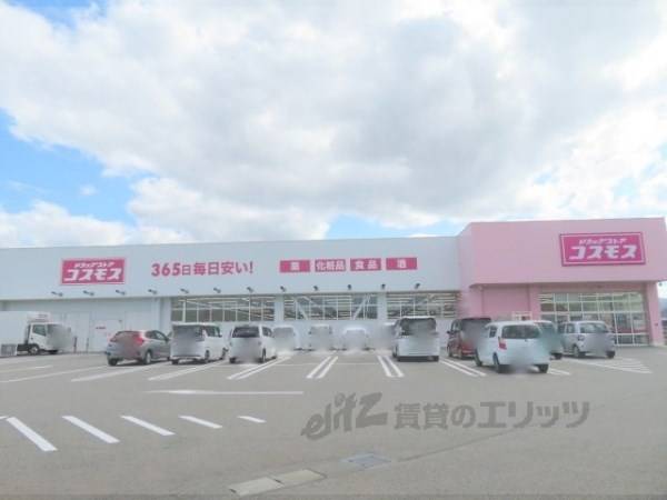 コスモス　但馬日高店