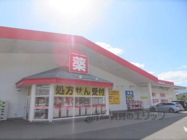 ゴダイドラッグ　日高店