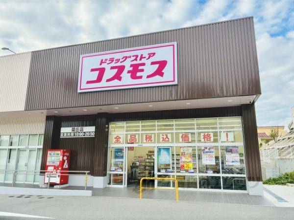 コスモス　菊丘店