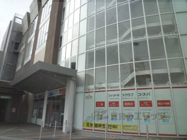 コスパ二条