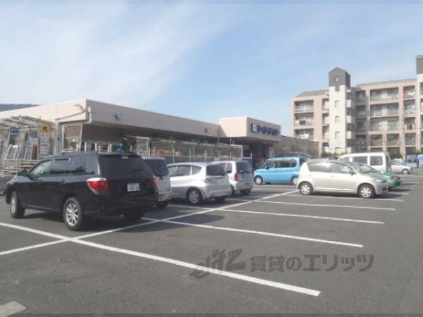 ケーヨーデイツー 洛西店