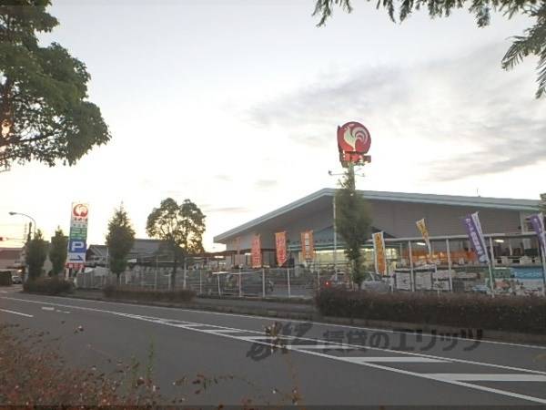 コメリハード&グリーン 中主店