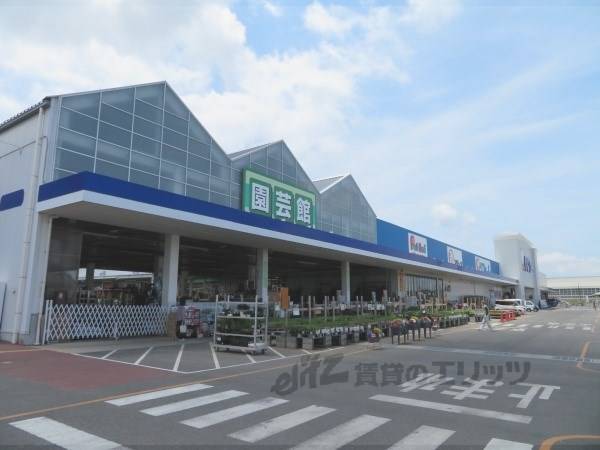 コメリ　パワー水口店