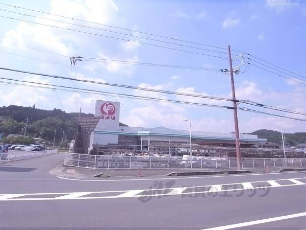 コメリ ハード&グリーン 園部店