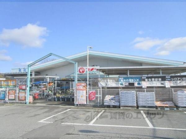 コメリハード＆グリーン　篠山店