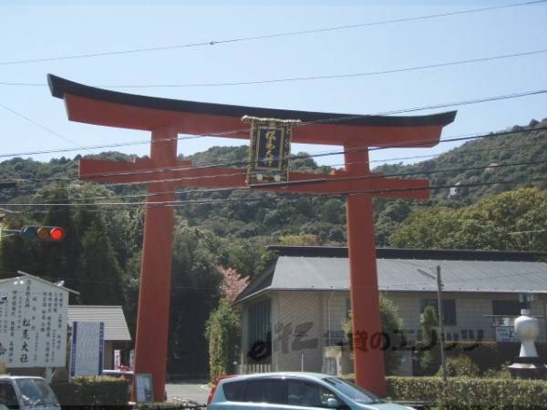 松尾大社