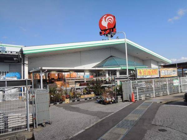 コメリ　稲枝店