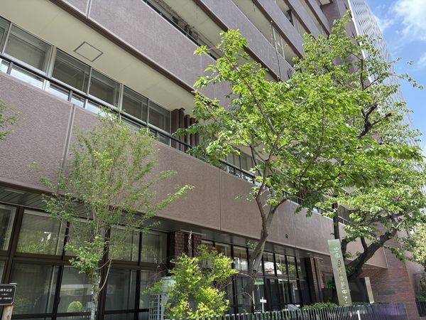 日本大学第一中学校・高等学校