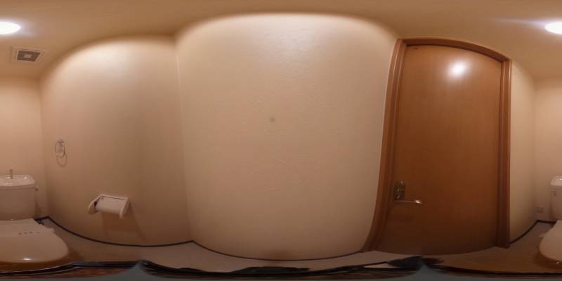 パノラマ画像トイレ