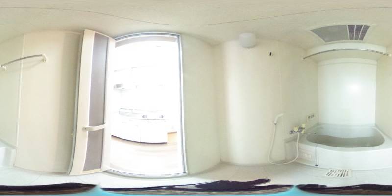 パノラマ画像バスルーム
