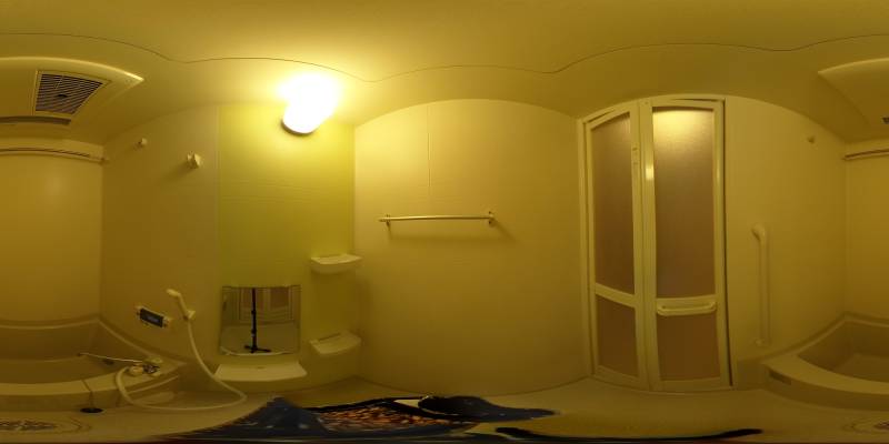 パノラマ画像バスルーム