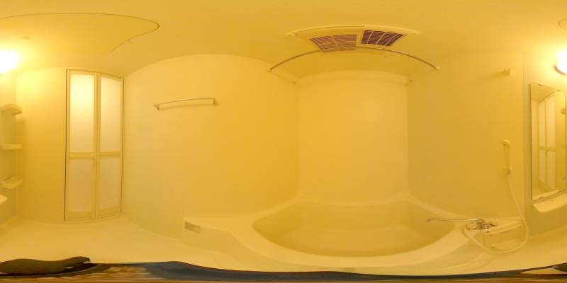 パノラマ画像バスルーム