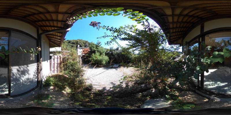 パノラマ画像庭