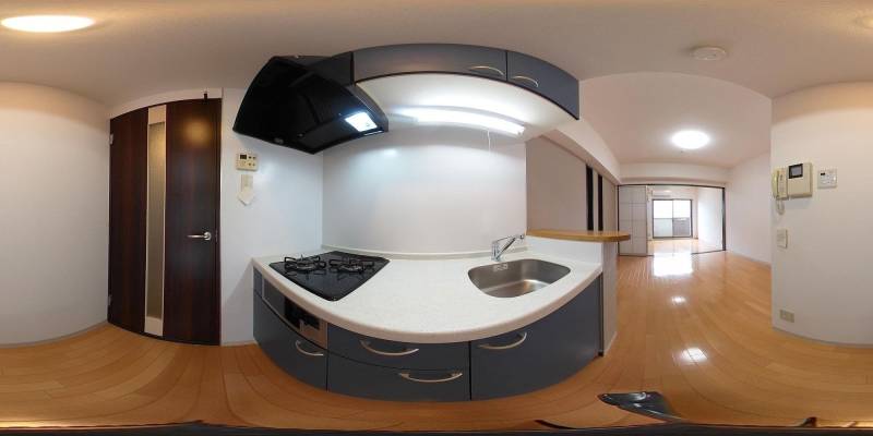 パノラマ画像その他