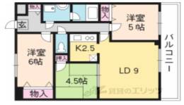 ラジュール岩倉間取り図面