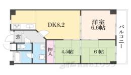 ソシアルハイツ間取り図面