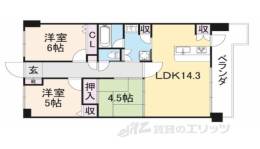 セレナハイム新大宮セントラルステージ204間取り図面