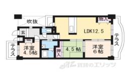 シャルマンコーポ新田辺118間取り図面