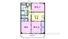 グリーンパレス雲梯間取り図面