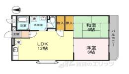 アルベール大和間取り図面