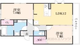 グレイス　コスモス間取り図面