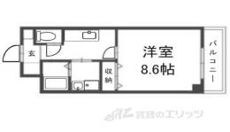 パトラ・Ｙ間取り図面
