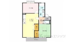 ミューマリーナ　１間取り図面