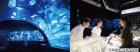 京都水族館