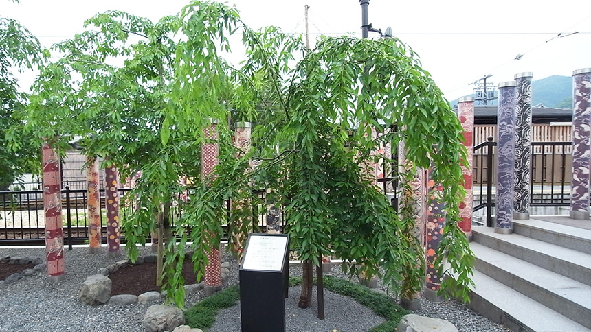 【画像】さくらの庭・もみじの庭②