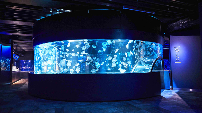 【画像】京都水族館①