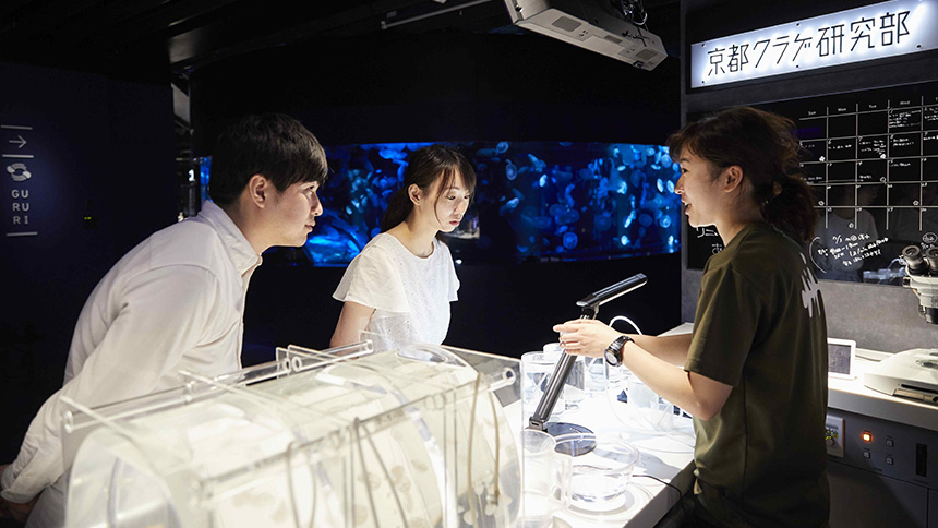 【画像】クラゲワンダー⑤