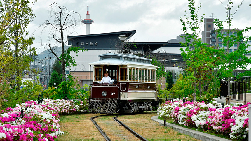 【画像】すざくゆめ広場③