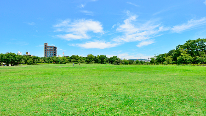 【画像】芝生広場
