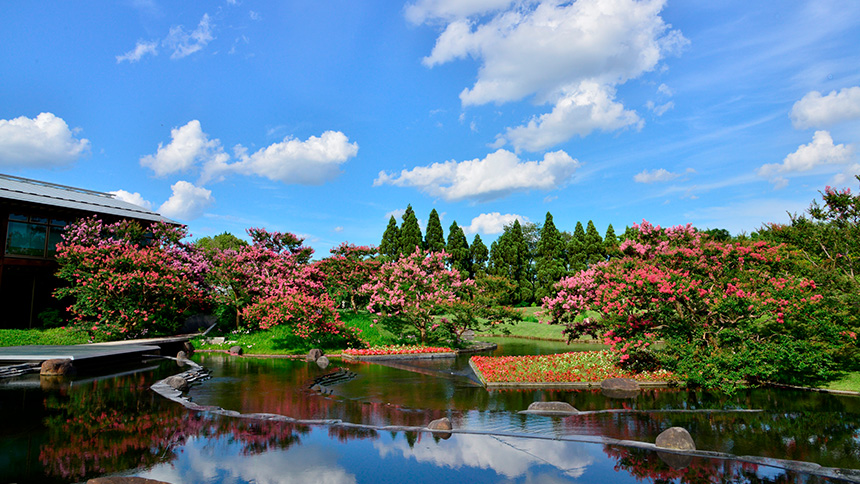 【画像】朱雀の庭