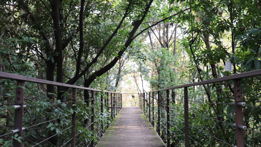 【画像】いのちの森