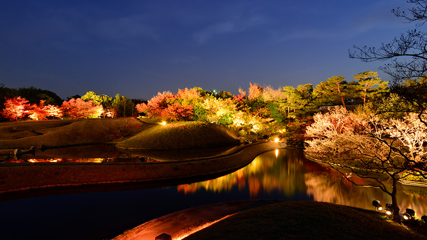 【画像】京都水族館①