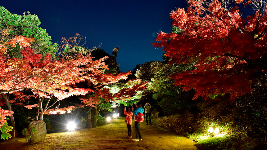 【画像】京都水族館①