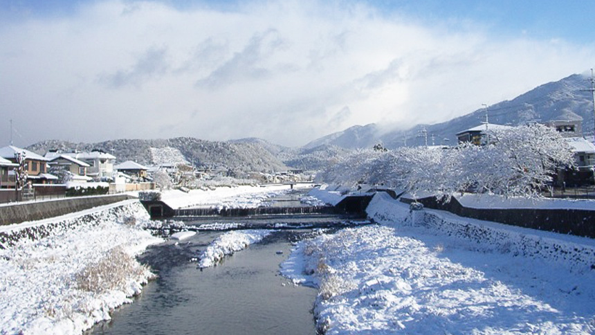 【画像】季節④