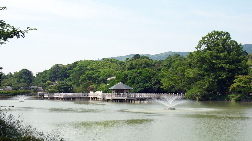 【画像】境内④