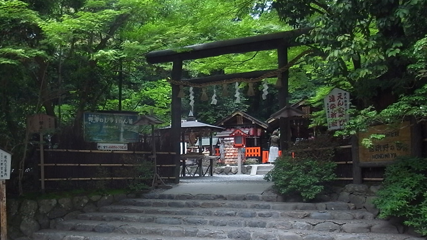 【画像】ミニチュア