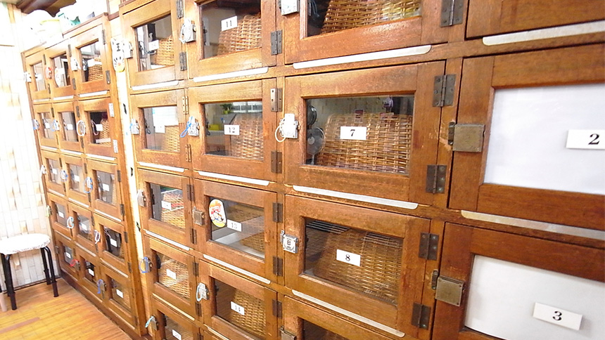 【画像】脱衣所3