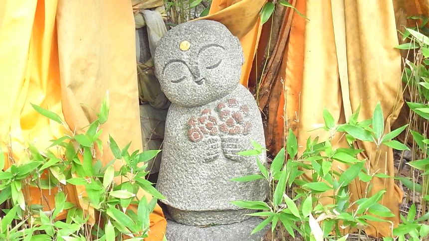 【画像】いのちの森