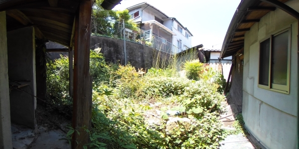 庭