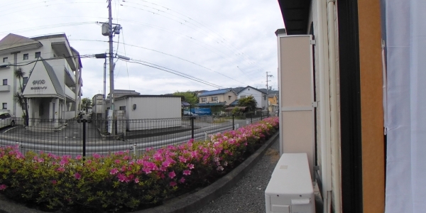 庭