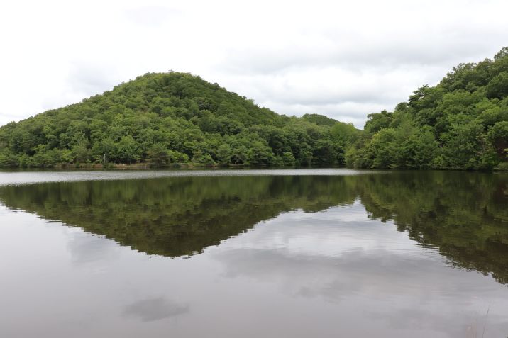 宝が池公園
